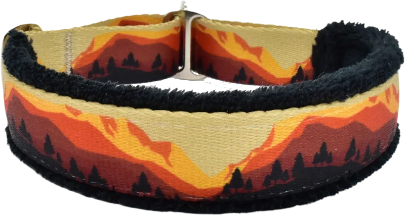 ### Dog accessories1" Take a Peak Everyday Limited Slip Collar