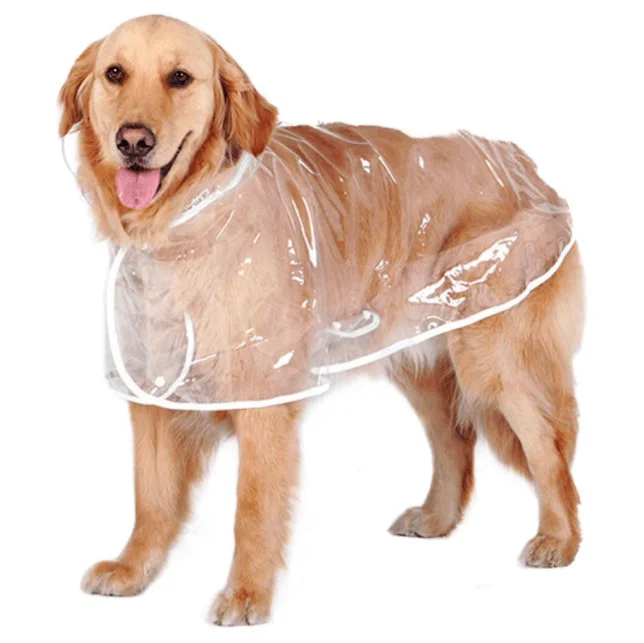 Big Dog Transparent Rain Poncho