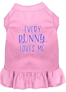 Every Bunny Loves Me Screen Print Dress in Many Colors