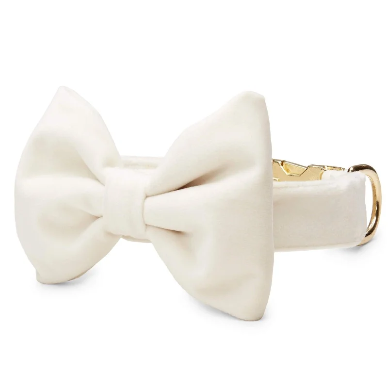 4. **Pet toys are bite-resistant and wear-resistant**Ivory Velvet Bow Tie Collar