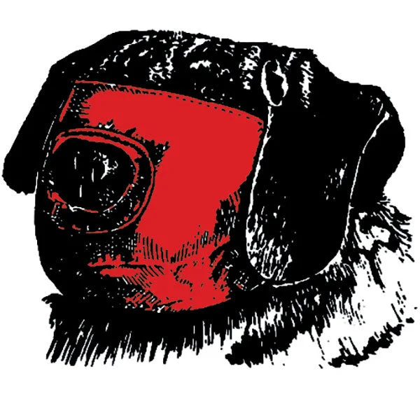 2. **Pet traction rope is anti-explosion**Muzzles - Pug Nosed