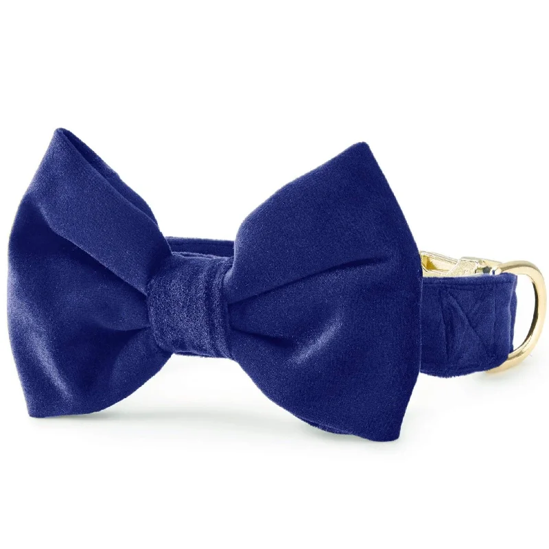 ### General pet accessoriesNavy Velvet Bow Tie Collar