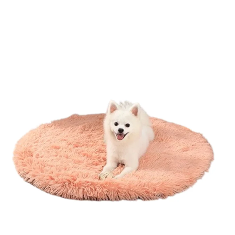 1. **Pet collar with custom engraving**Pat and Pet Emporium | Pet Beds | Round Dog Bed 1. **Pet collar with custom engraving**Pat and Pet Emporium | Pet Beds | Round Dog Bed