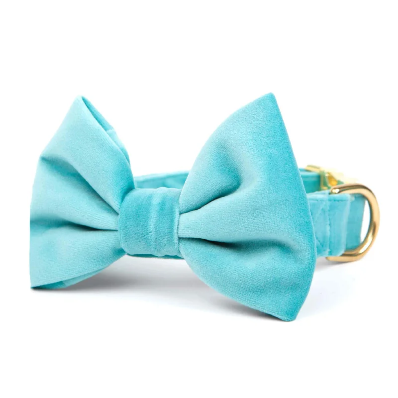 4. **Cat comb to remove hair balls**Robin’s Egg Velvet Bow Tie Collar