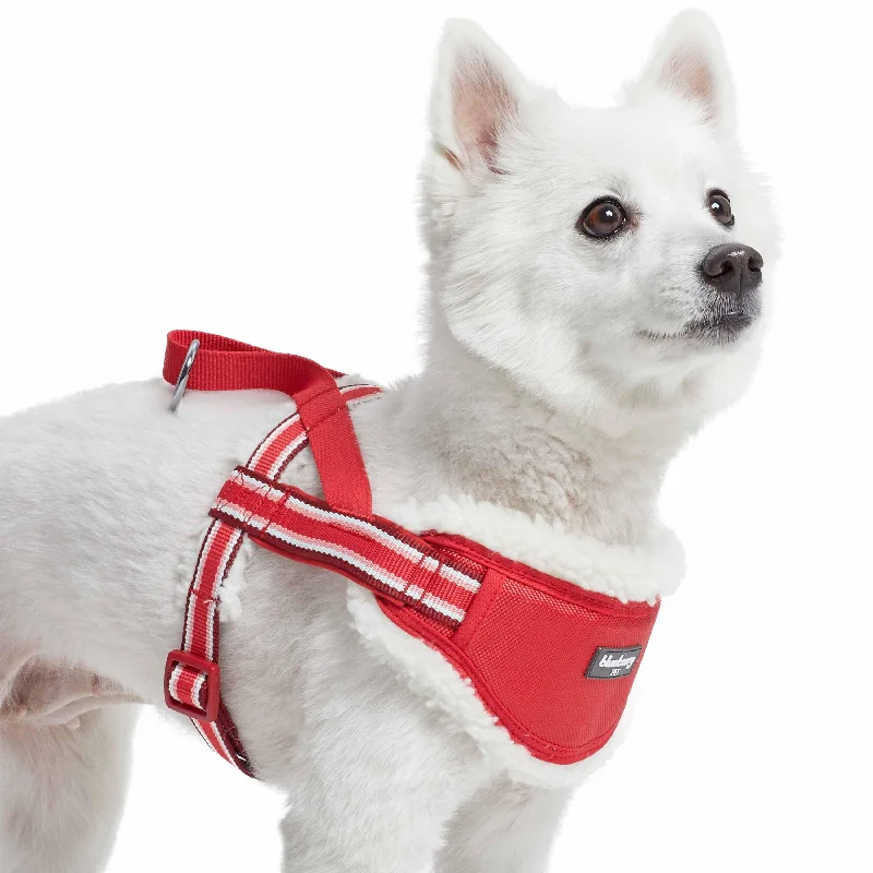 6. **Dog collar is luminous and reflective**Easy On/Off | Sherpa Fleece Padded Dog Harness in Multi-color Stripes