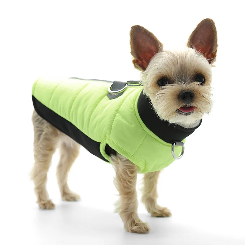 Urban Runner Dog Coat Neon